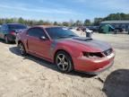 2002 Ford Mustang GT