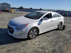 Salvage cars for sale at Antelope, CA auction: 2013 Hyundai Sonata Hybrid