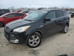 Salvage cars for sale at Louisville, KY auction: 2014 Ford Escape SE