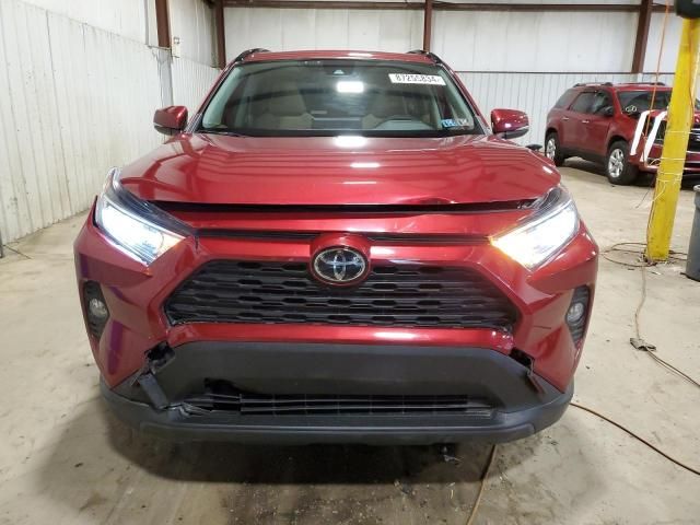 2019 Toyota Rav4 XLE