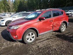 Salvage cars for sale at Graham, WA auction: 2013 Toyota Rav4 XLE