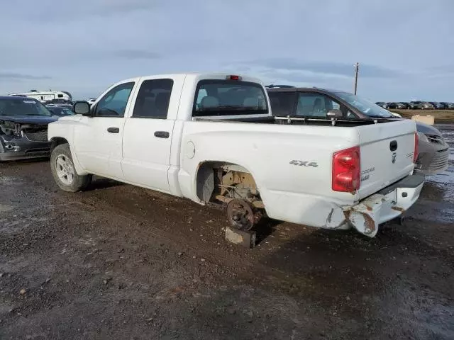 2011 Dodge Dakota SLT