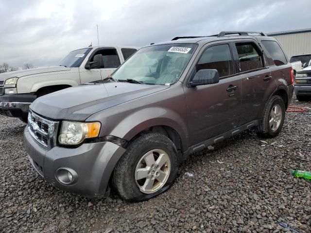 2009 Ford Escape XLT