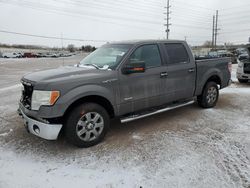 2014 Ford F150 Supercrew en venta en Colorado Springs, CO