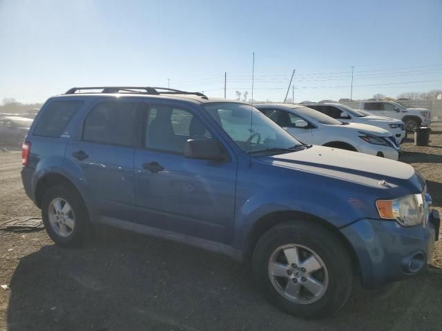 2009 Ford Escape XLT