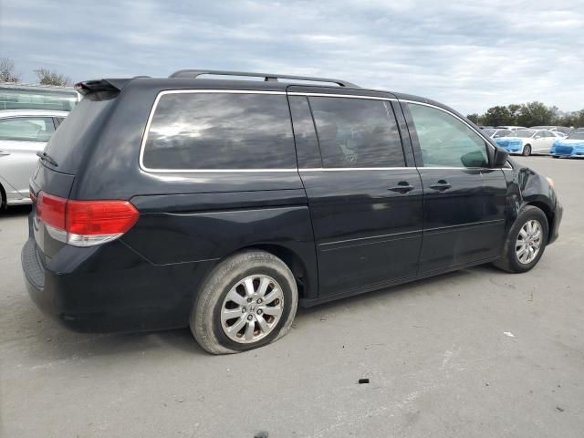 2008 Honda Odyssey EXL