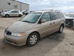 Salvage cars for sale from Copart Cleveland: 2004 Honda Odyssey EX