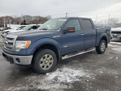 Ford f150 Supercrew Vehiculos salvage en venta: 2013 Ford F150 Supercrew