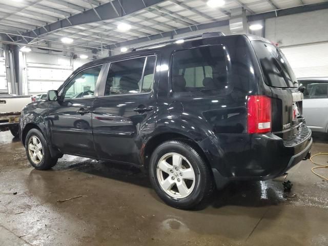 2010 Honda Pilot EXL