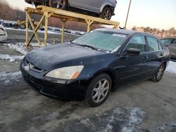 Run And Drives Cars for sale at auction: 2003 Honda Accord EX