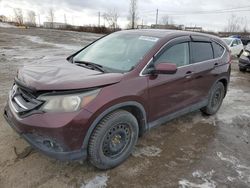 Salvage cars for sale at Montreal Est, QC auction: 2013 Honda CR-V EX