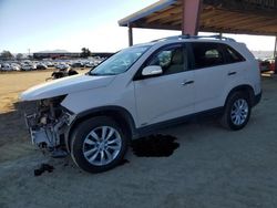 KIA salvage cars for sale: 2011 KIA Sorento EX