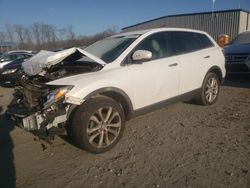 Salvage cars for sale from Copart Spartanburg, SC: 2011 Mazda CX-9