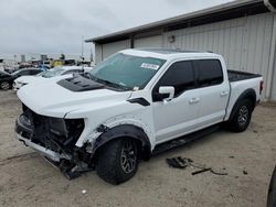 Salvage cars for sale at Apopka, FL auction: 2022 Ford F150 Raptor