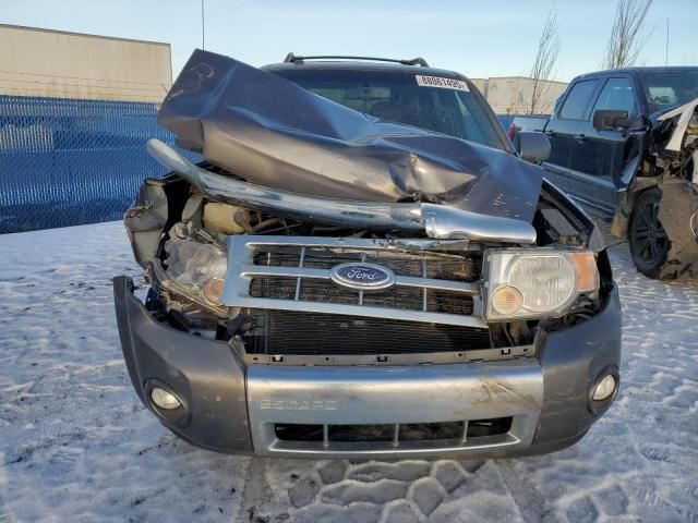 2011 Ford Escape Limited