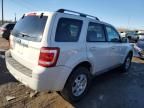 2009 Ford Escape Limited