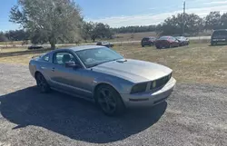 Salvage cars for sale at Apopka, FL auction: 2007 Ford Mustang