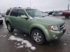 2010 Ford Escape Hybrid