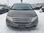 2011 Honda Odyssey EXL