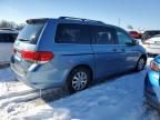 2008 Honda Odyssey EXL