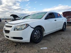 Salvage cars for sale from Copart Magna, UT: 2010 Chevrolet Malibu LS