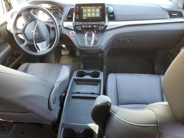 2024 Honda Odyssey EXL