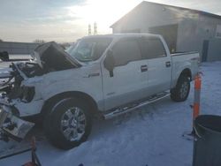 Vehiculos salvage en venta de Copart Barberton, OH: 2011 Ford F150 Supercrew