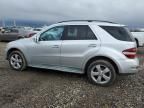 2011 Mercedes-Benz ML 350