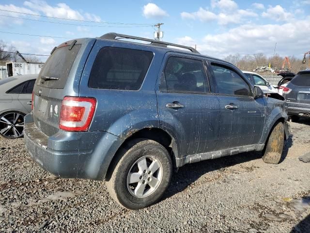 2011 Ford Escape XLT