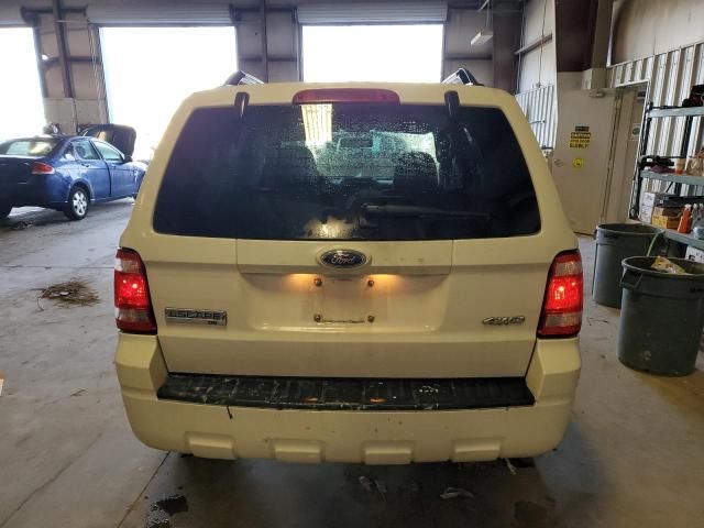 2009 Ford Escape XLT