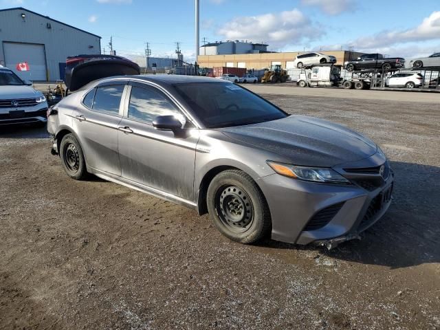 2019 Toyota Camry Hybrid