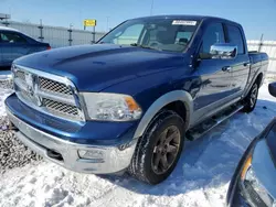 Dodge salvage cars for sale: 2009 Dodge RAM 1500