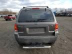 2006 Ford Escape XLT