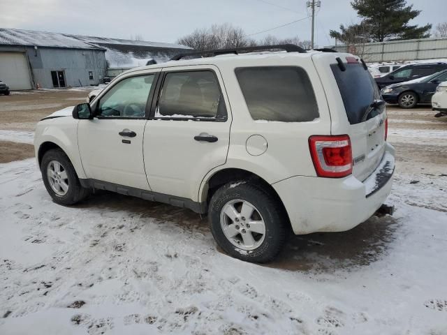 2010 Ford Escape XLT