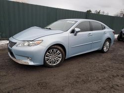 Salvage cars for sale at Finksburg, MD auction: 2013 Lexus ES 350