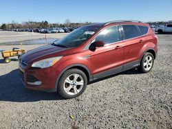 Salvage cars for sale at Lumberton, NC auction: 2014 Ford Escape SE