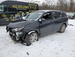 Salvage cars for sale at Ellwood City, PA auction: 2021 Chevrolet Equinox LS