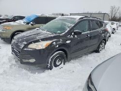 Clean Title Cars for sale at auction: 2013 Ford Escape SE