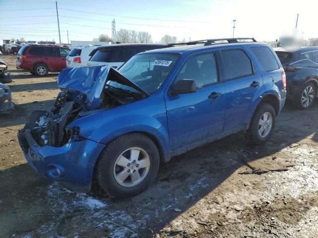 2011 Ford Escape XLT