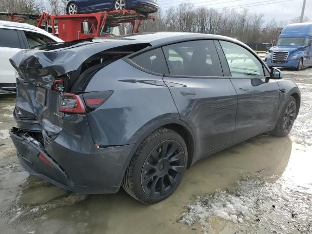 2020 Tesla Model Y