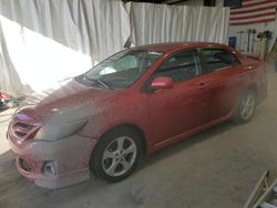 Salvage cars for sale at Earlington, KY auction: 2011 Toyota Corolla Base