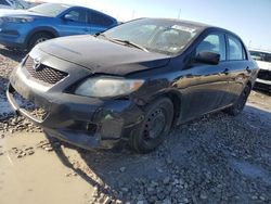 Salvage cars for sale at Cahokia Heights, IL auction: 2010 Toyota Corolla Base