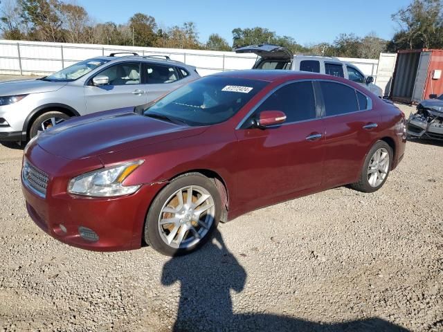 2009 Nissan Maxima S