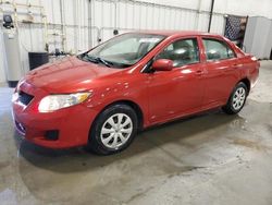 Salvage cars for sale at Avon, MN auction: 2009 Toyota Corolla Base