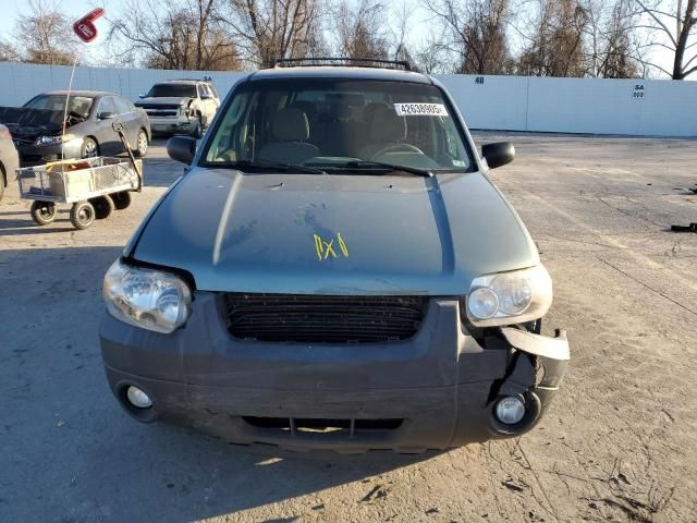 2007 Ford Escape XLT