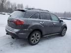 2010 Acura MDX Advance