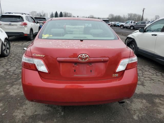 2009 Toyota Camry Hybrid