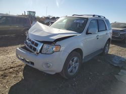 Salvage SUVs for sale at auction: 2011 Ford Escape Limited