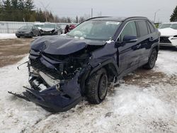 Salvage cars for sale from Copart Bowmanville, ON: 2019 Toyota Rav4 XLE