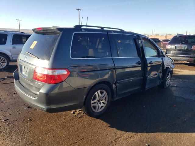 2005 Honda Odyssey EXL